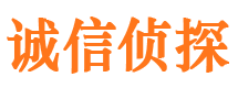 新津市私家侦探